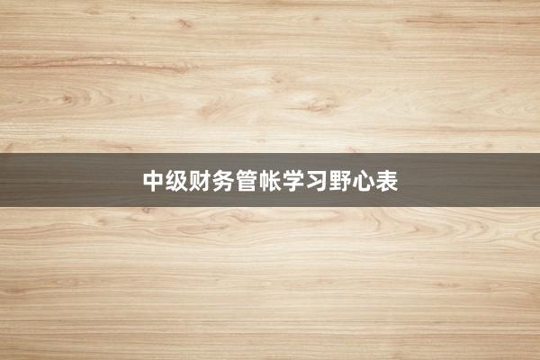 中级财务管帐学习野心表